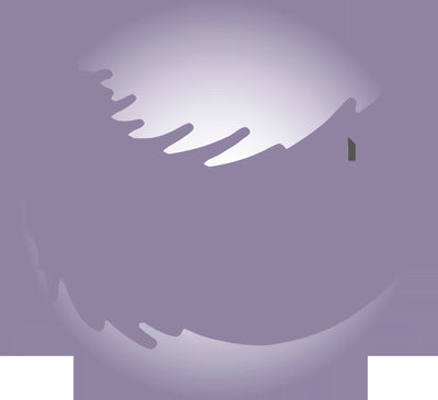 Gänsedaunendecke